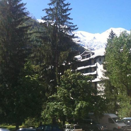 Appartement Chamonix - Vue Mont Blanc Eksteriør billede